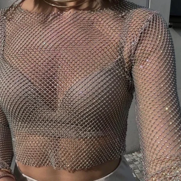 Zara Chain link Sparkle Mesh Long-Sleeve Crop Top - Iridescent - M - Picture 3 of 5